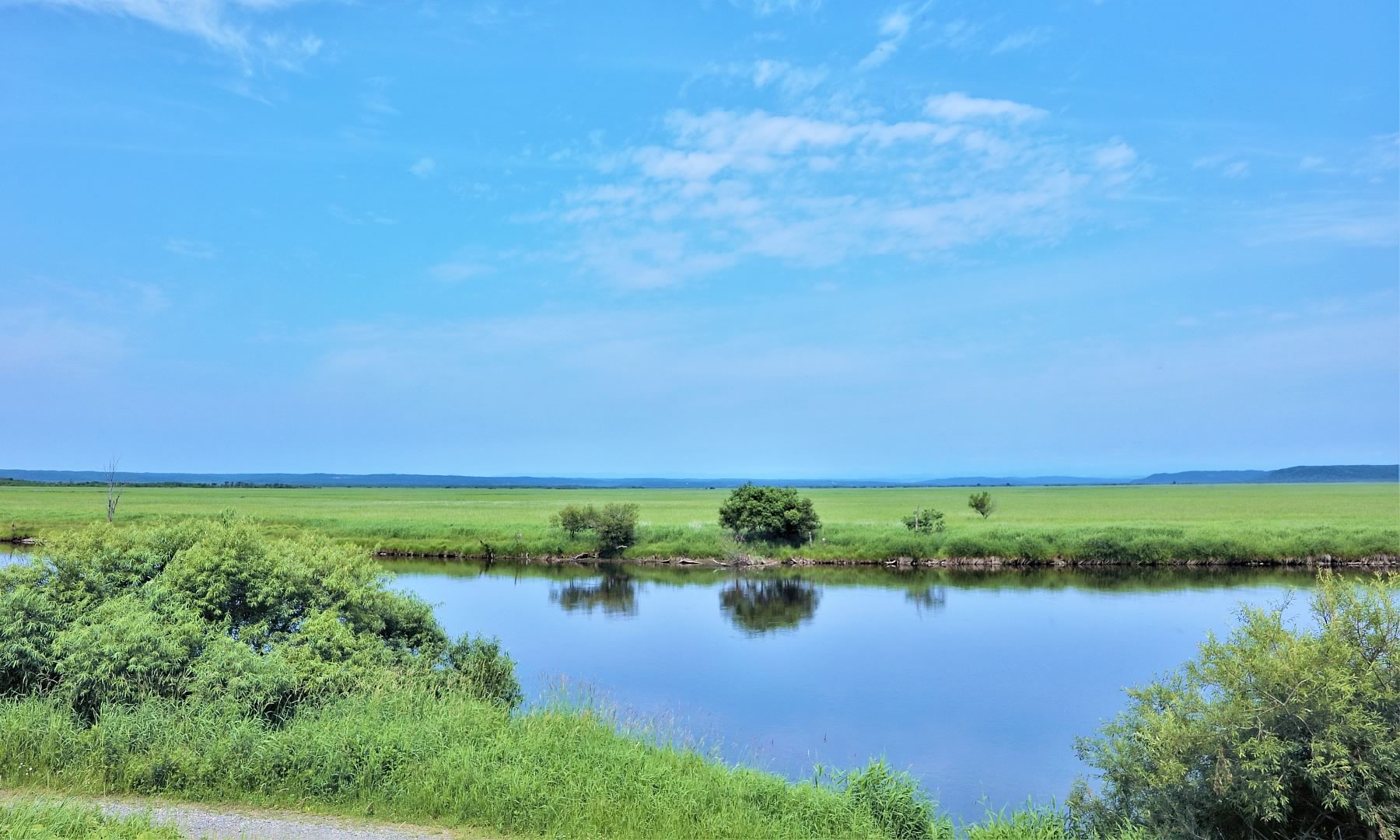 株式会社センテクト【北海道釧路】